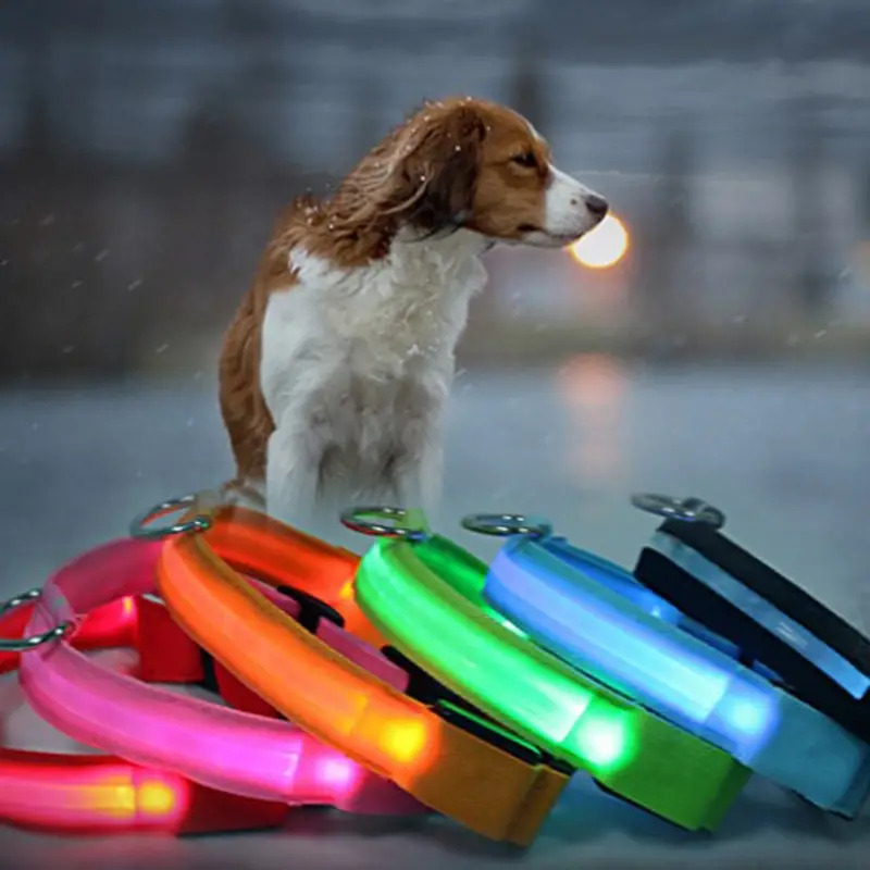 Dog Collar Glow in the Dark: Bright, Safe  Stylish for Night Walks!