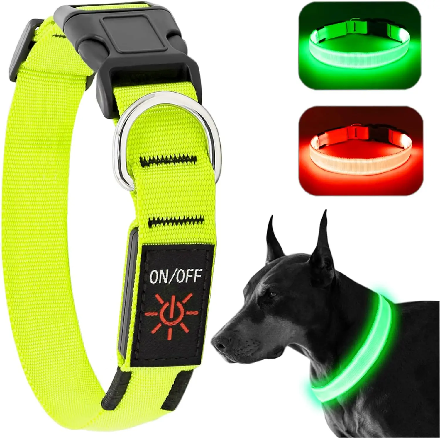 Light Up Dog Collar at Night