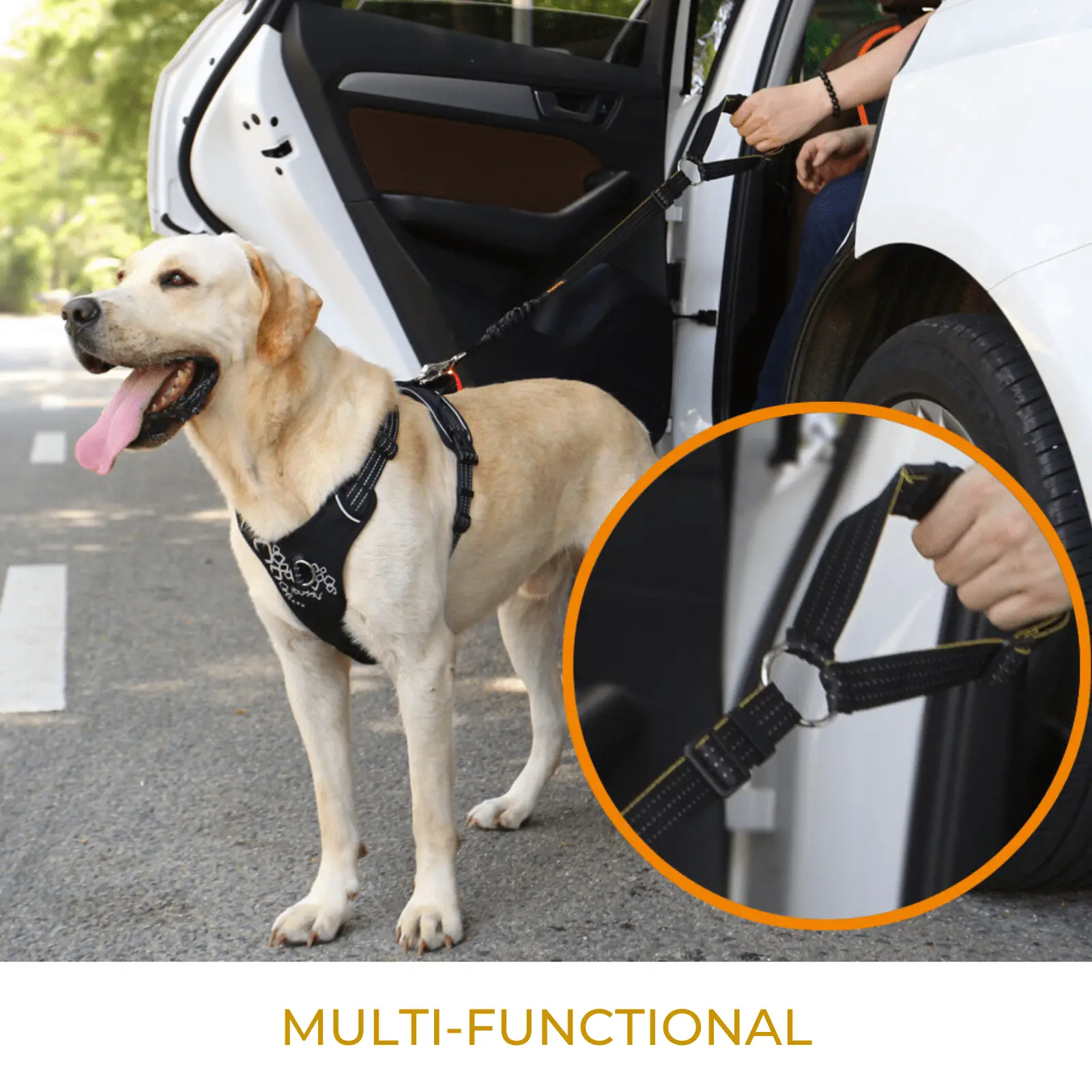 Dog Car Seat with Seat Belt: Safe Travel for Pets in Cars!