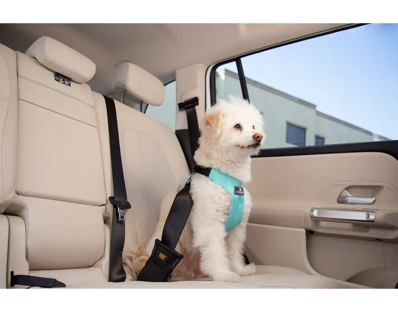 Dog Car Seat with Seat Belt: Safe Travel for Pets in Cars!