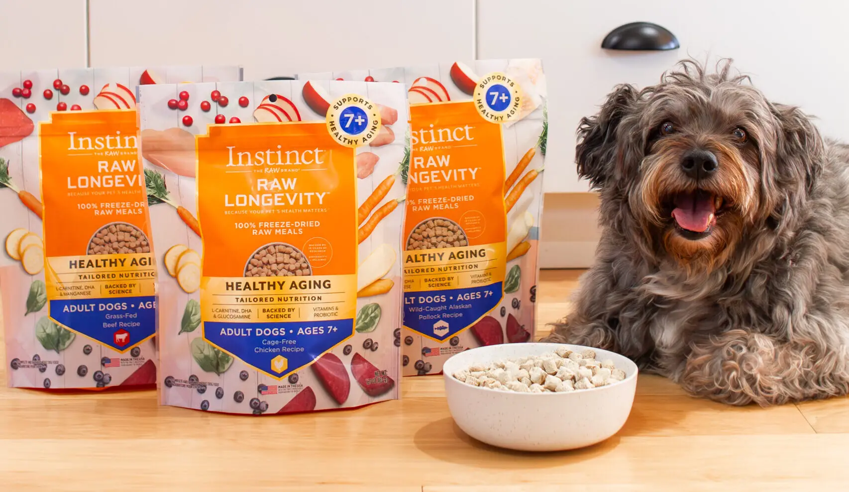 Best Dry Dog Food for Constipation: Top Picks for Digestive Health in Dogs