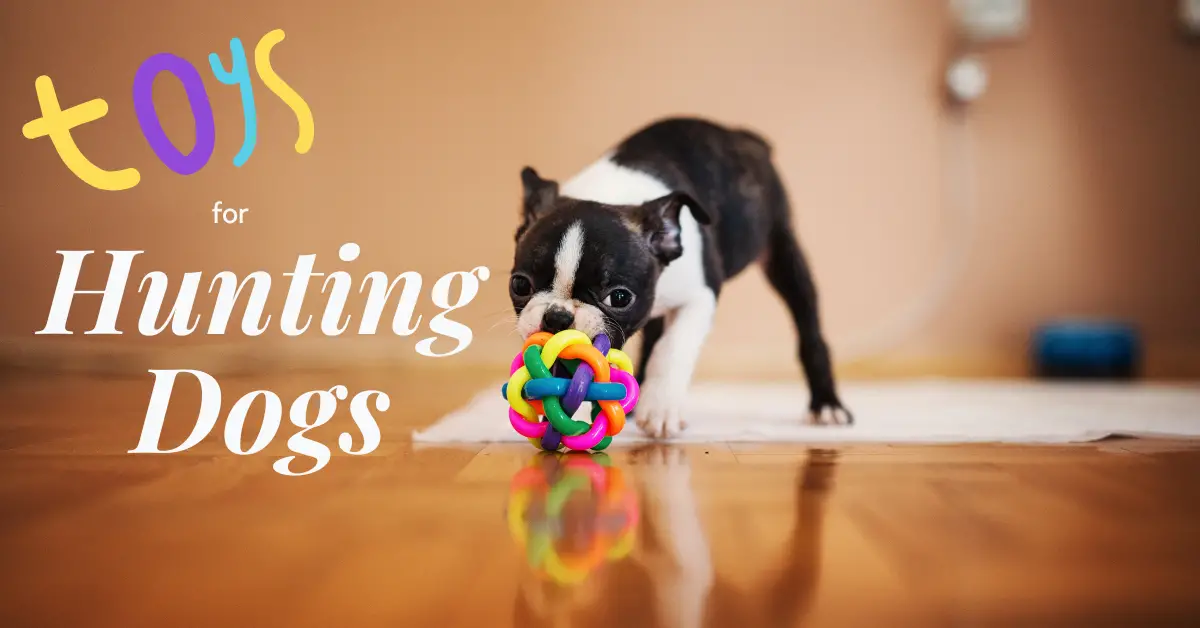 10 Best Dog Toys for Dogs That Chew in 2024 Durable Solutions for Aggressive Chewers