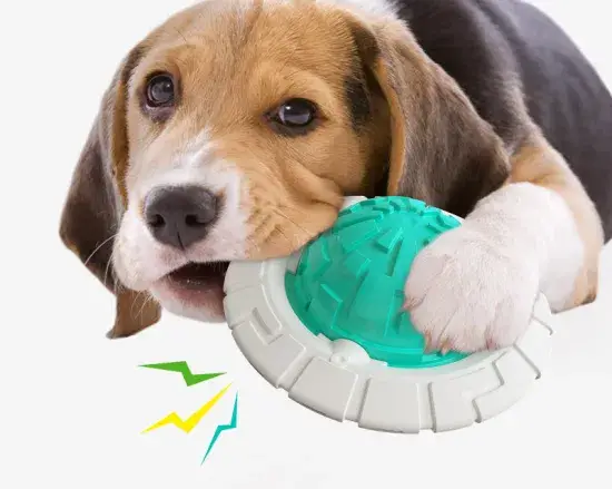 10 Best Dog Toys for Dogs That Chew in 2024 Durable Solutions for Aggressive Chewers