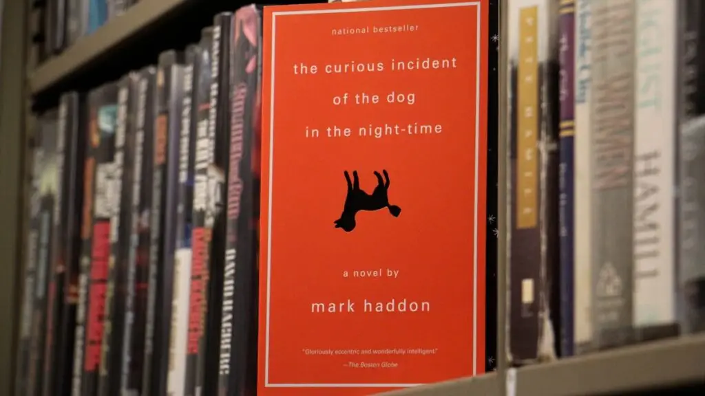 The Curious Case of the Dog in the Night-Time A Deep Dive