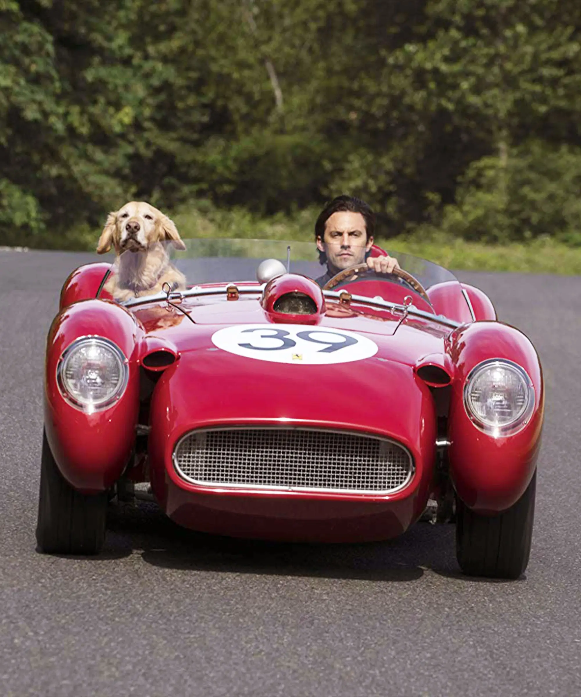 Garth Stein The Art of Racing in the Rain: A Heartfelt Tale of Love and Loyalty