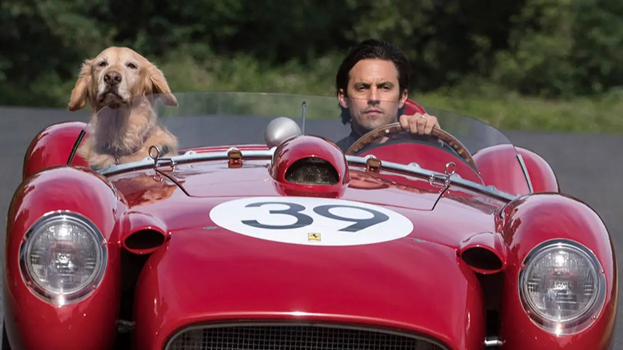 Garth Stein The Art of Racing in the Rain: A Heartfelt Tale of Love and Loyalty