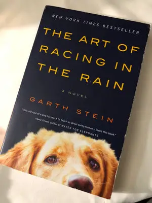 Garth Stein The Art of Racing in the Rain: A Heartfelt Tale of Love and Loyalty