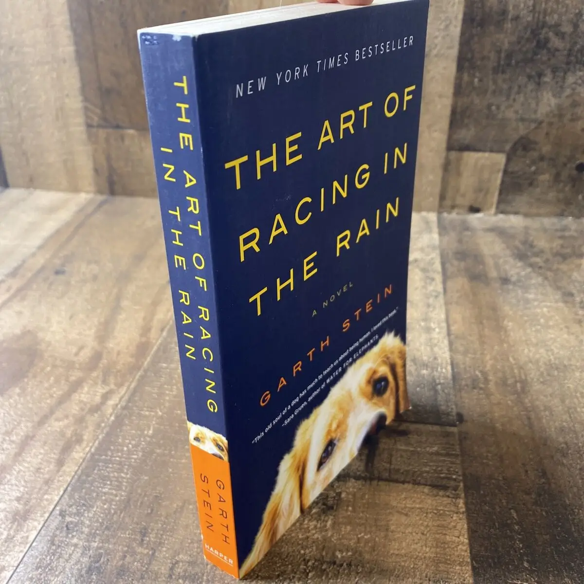 Garth Stein The Art of Racing in the Rain: A Heartfelt Tale of Love and Loyalty