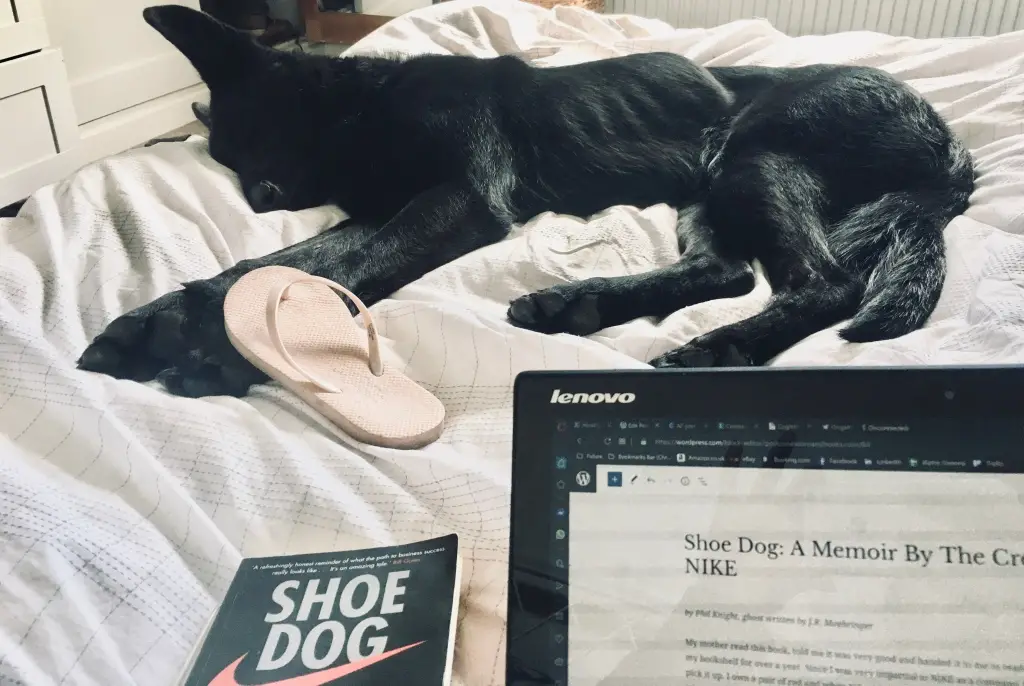 Shoe Dog A Memoir by the Creator of Nike