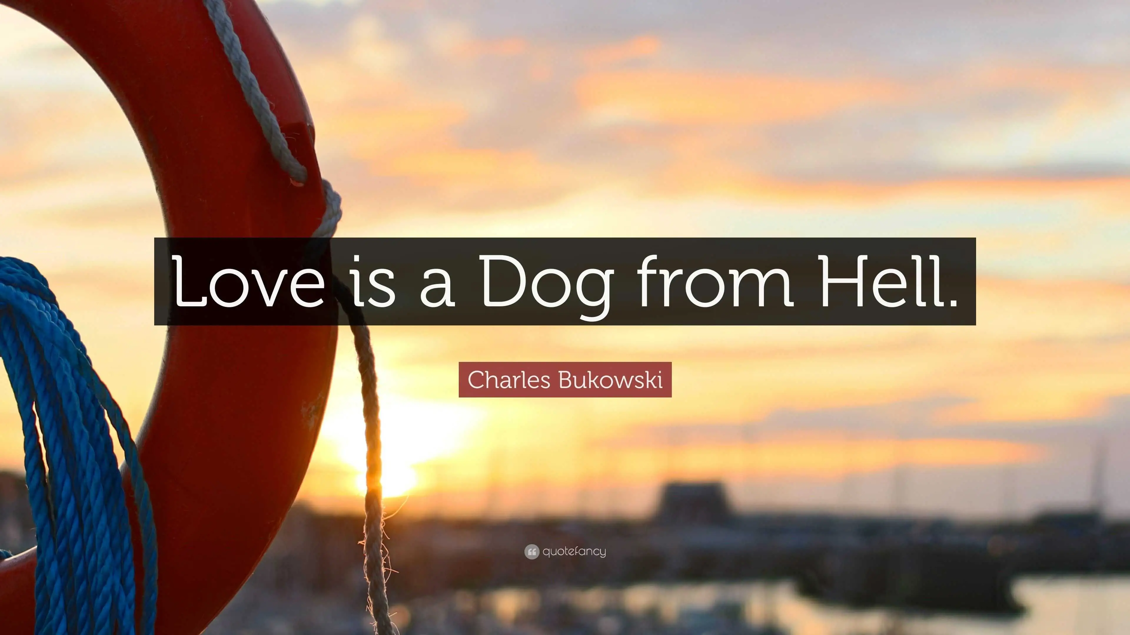 Bukowski Love is a Dog From Hell: A Deep Dive into Raw Emotion and Poetic Brilliance