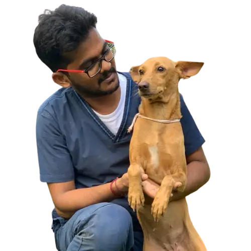 National Animal Welfare Society Working Towards a Better Future for Animals