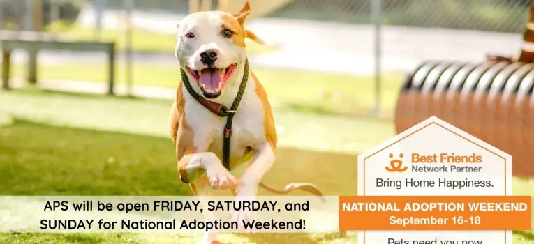 National Animal Welfare Society Working Towards a Better Future for Animals