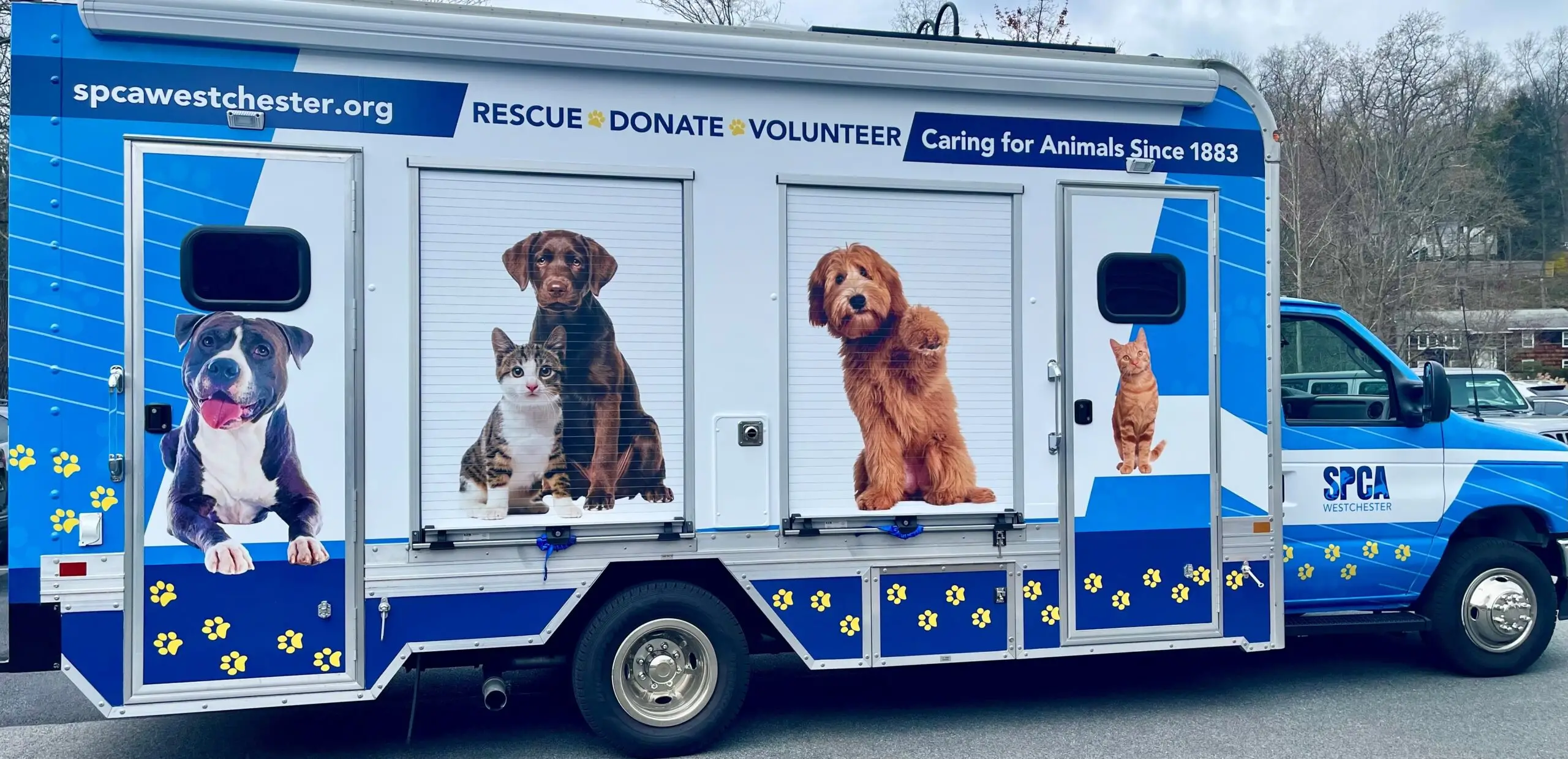 National Animal Welfare Society Working Towards a Better Future for Animals