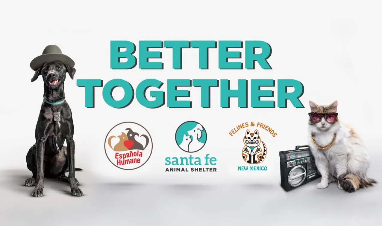 Discover the Top Animal Rescues in New Mexico