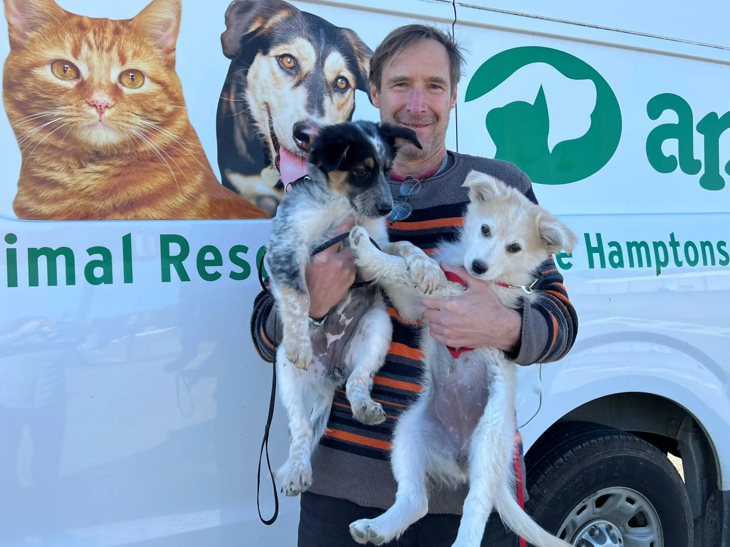 Discover the Top Animal Rescues in New Mexico