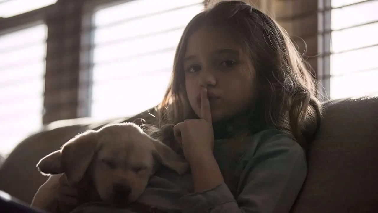 How Do I Get a Dog to Stop Barking?