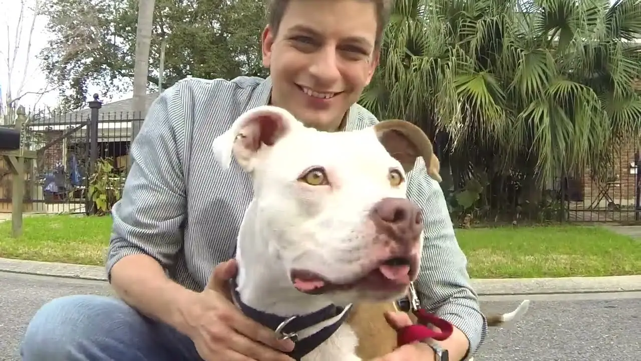 How Do I Get a Dog to Stop Barking?