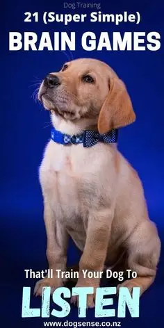 10 Must-Have Dog Training Books for 2024 Transform Your Pup into the Perfect Companion