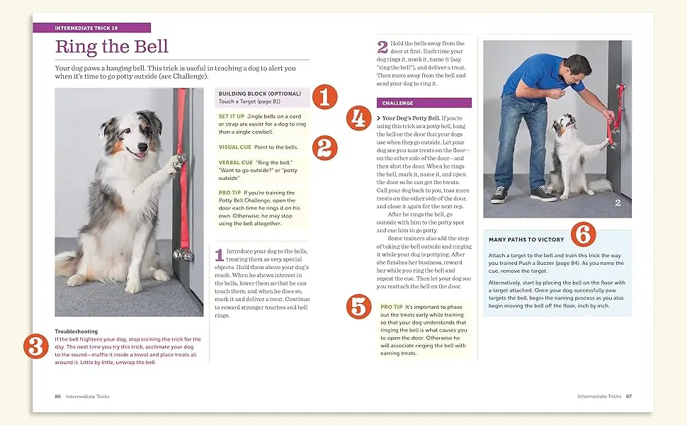 10 Must-Have Dog Training Books for 2024 Transform Your Pup into the Perfect Companion