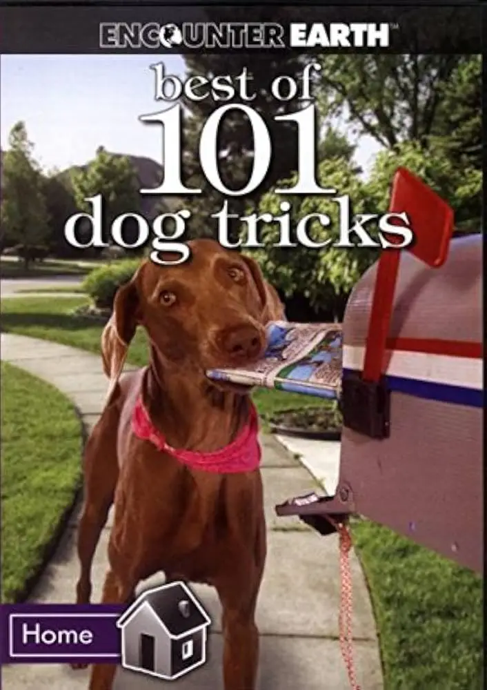 10 Must-Have Dog Training Books for 2024 Transform Your Pup into the Perfect Companion