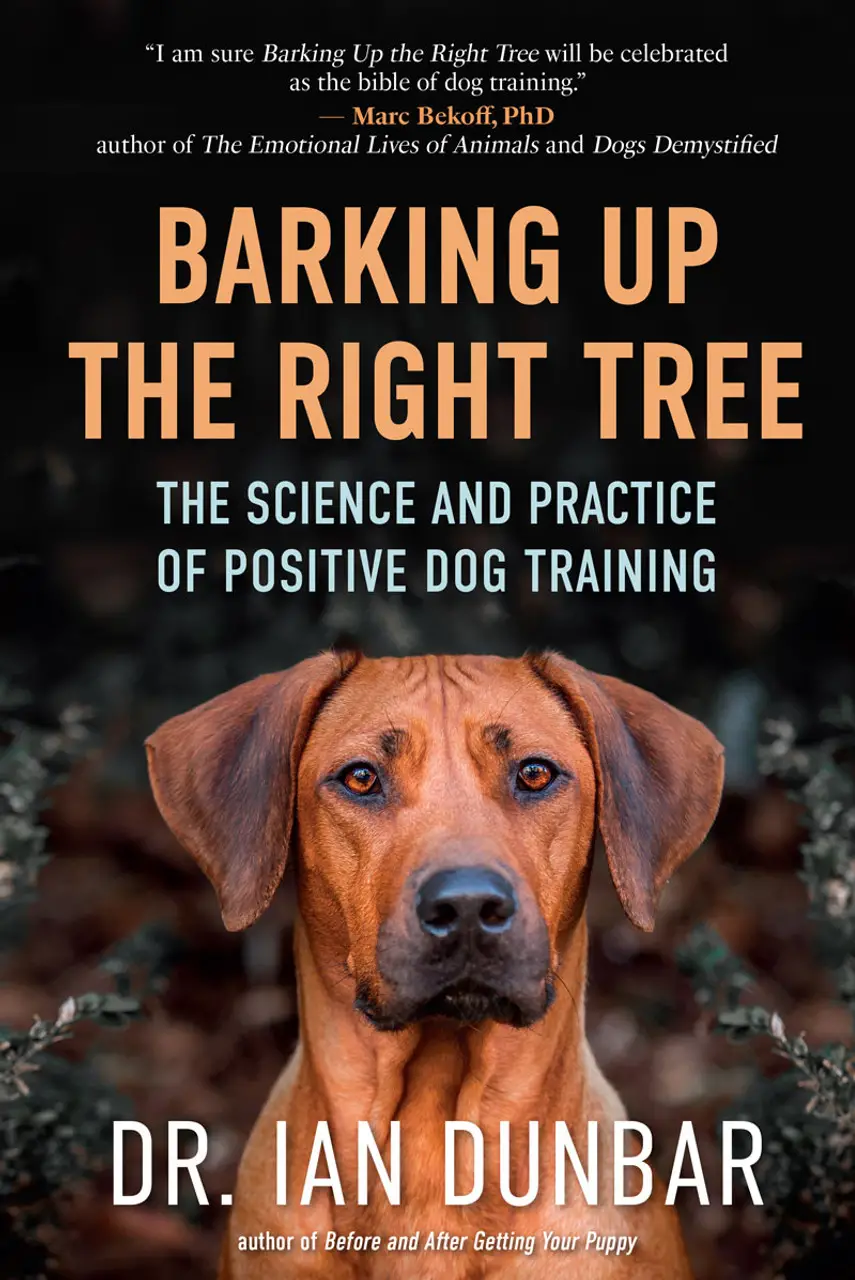 10 Must-Have Dog Training Books for 2024 Transform Your Pup into the Perfect Companion