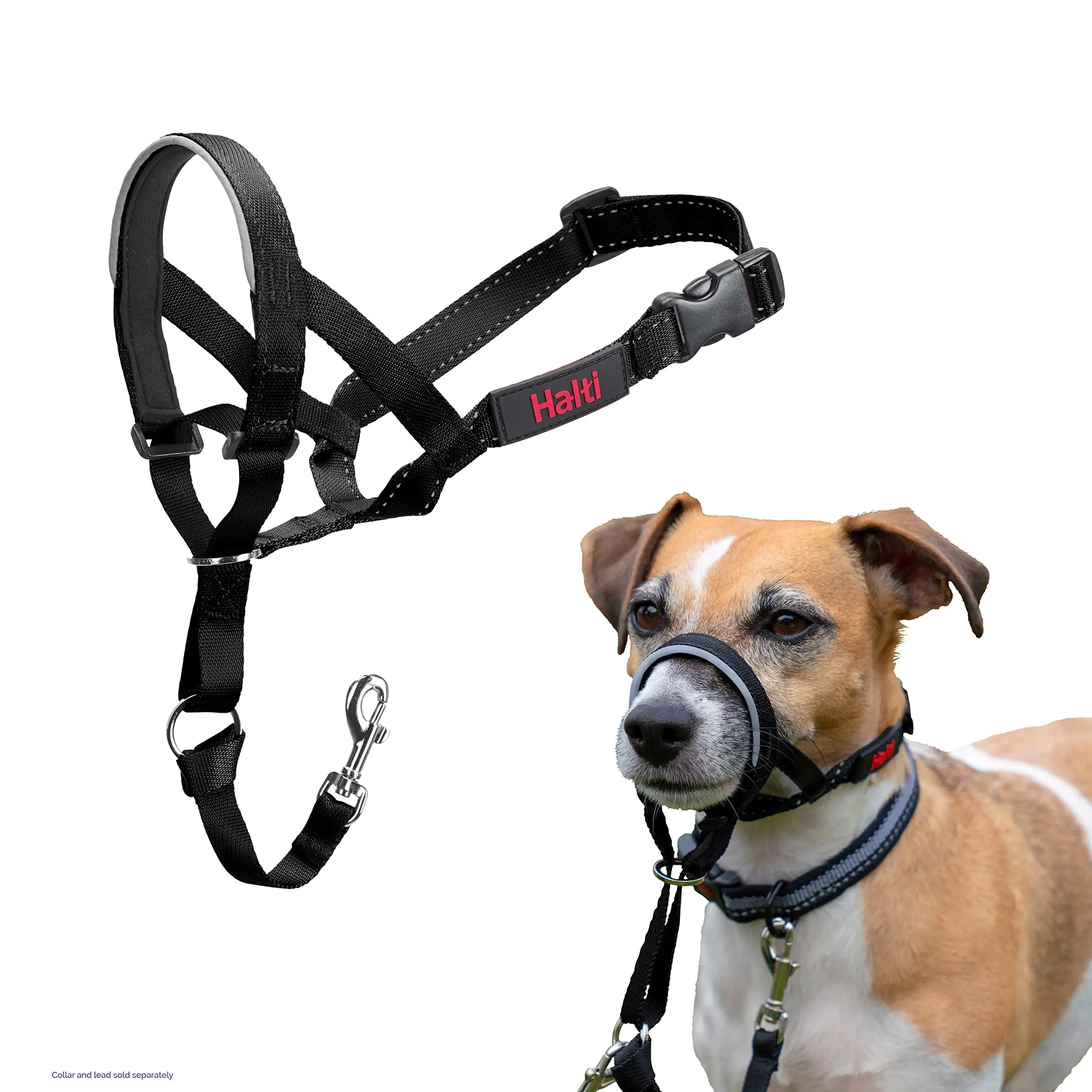 How Do You Stop a Dog Pulling on the Lead?