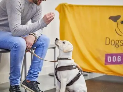 How to Train Your Dog Not to Jump Up on People