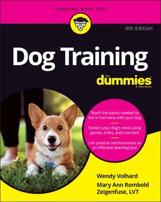 How to Train Your Dog Not to Jump Up on People