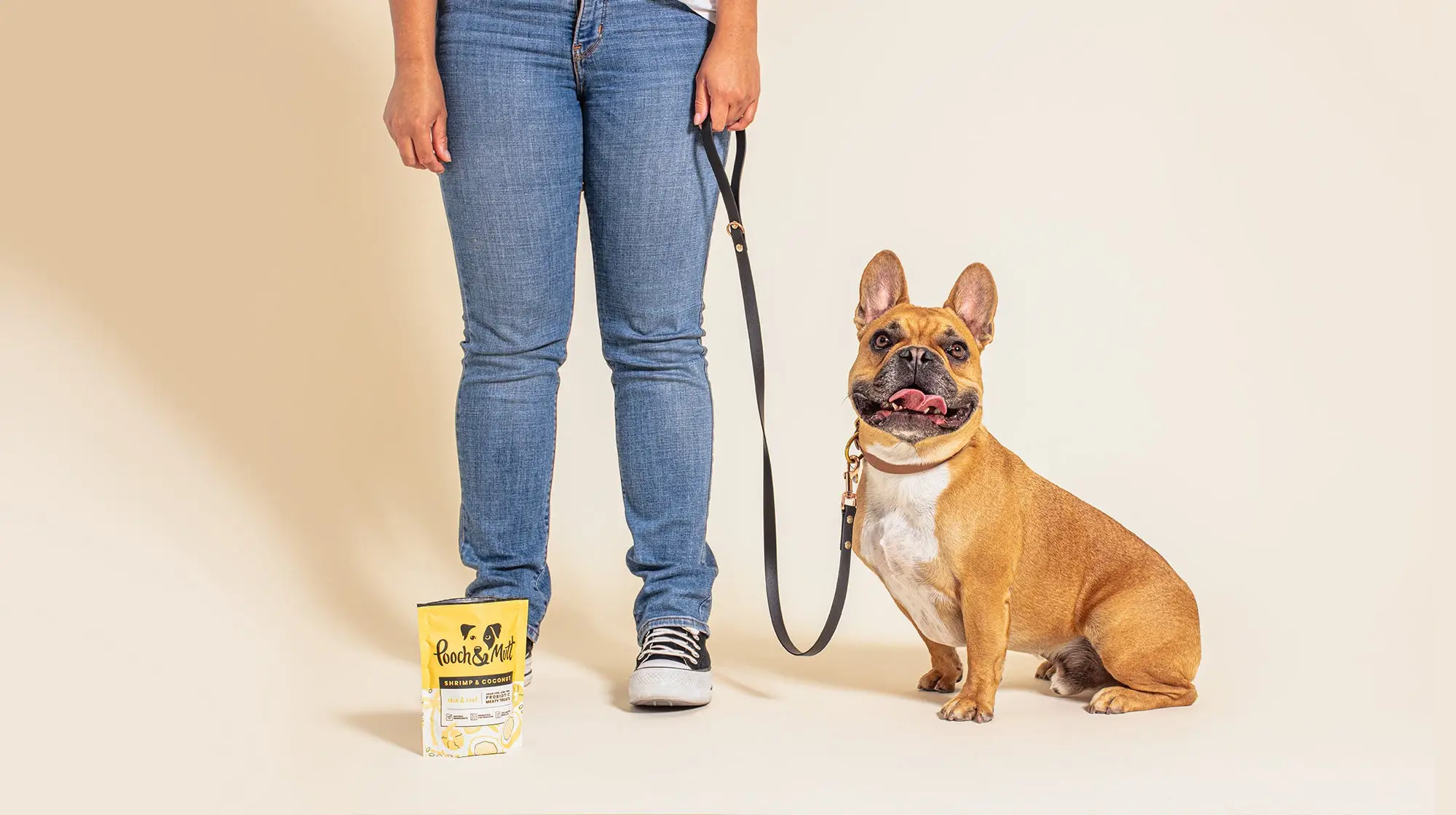How to Teach Your Dog to Walk on a Leash