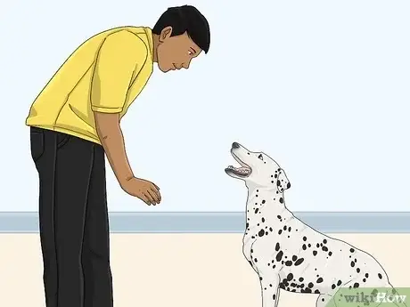 How Do You Stop a Dog From Whining?