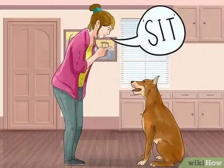 How to Teach a Puppy to Sit