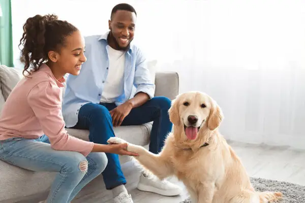 How to Teach a Puppy to Sit