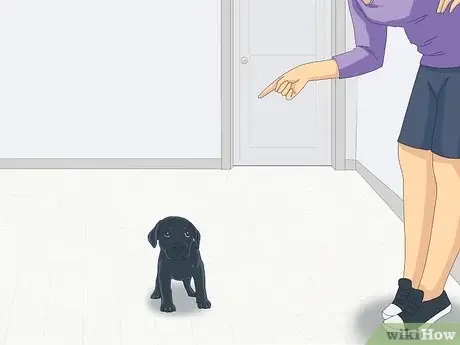 How Do You Stop Puppies from Biting?