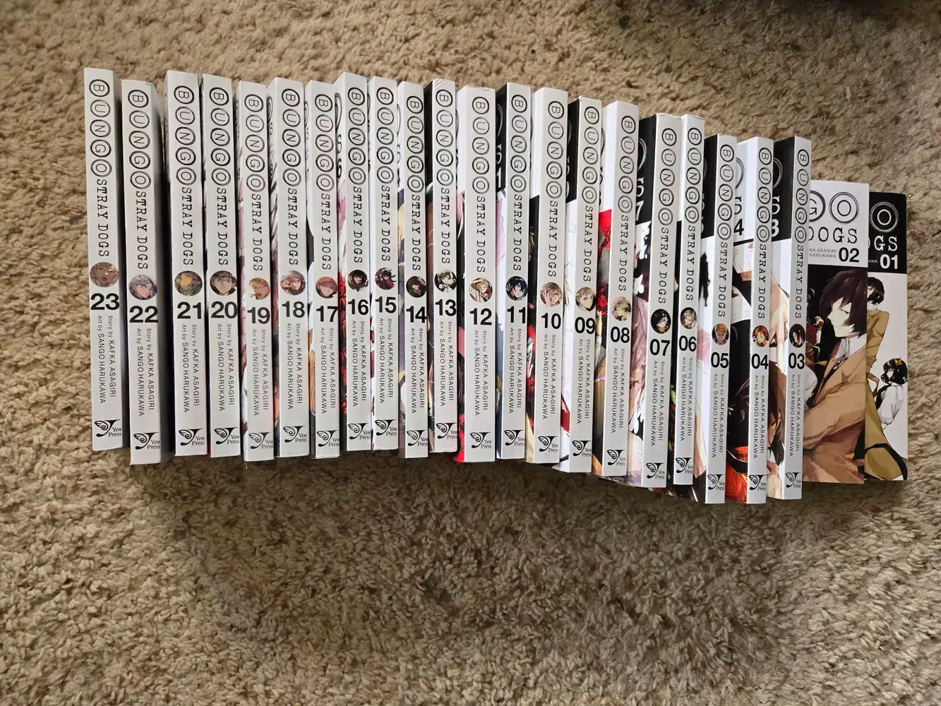 Bungo Stray Dogs Light Novel Exploring the Literary Universe