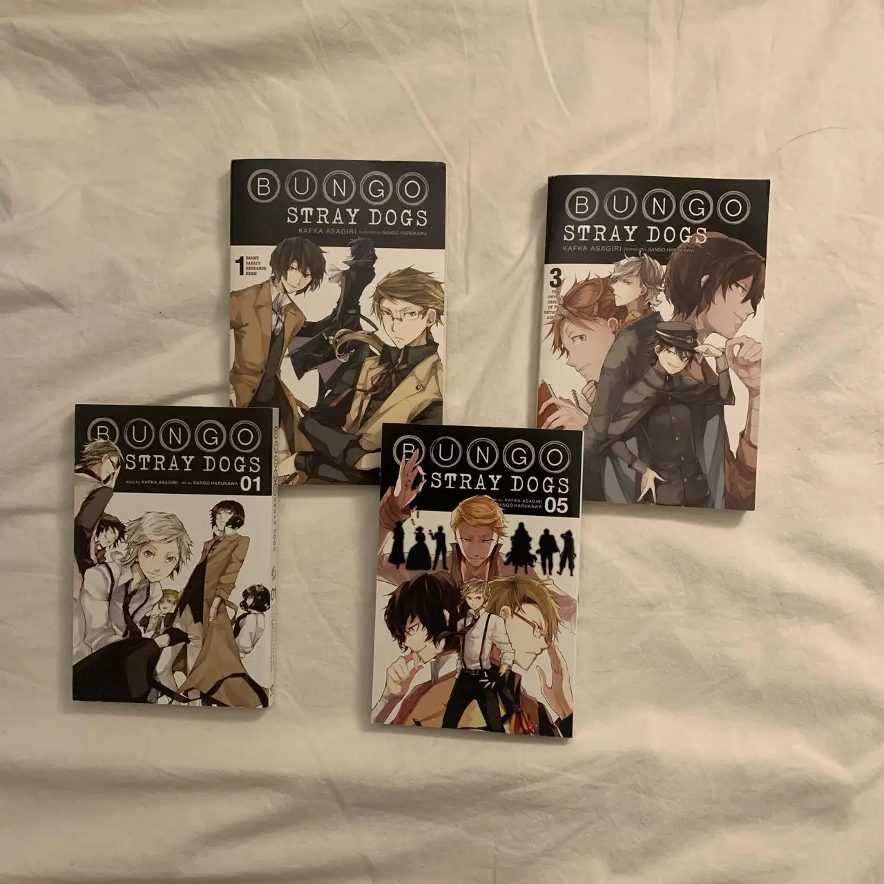 Bungo Stray Dogs Light Novel Exploring the Literary Universe