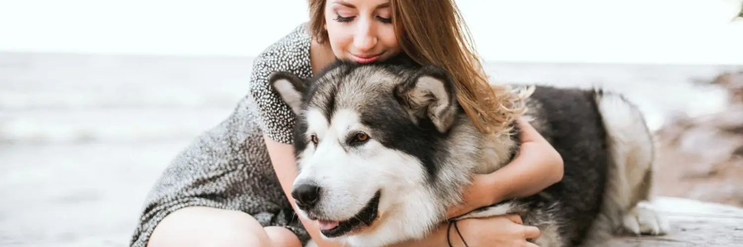 Chicken Soup for the Dog Lover's Soul: Heartwarming Tales to Cherish Your Furry Friend