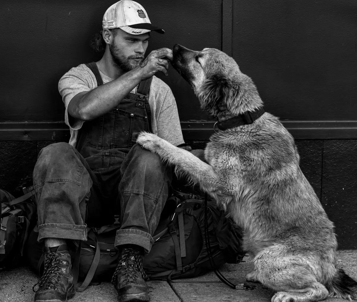 Dog Man in Real Life: Explore the Adventures of Your Favorite Comic Hero!