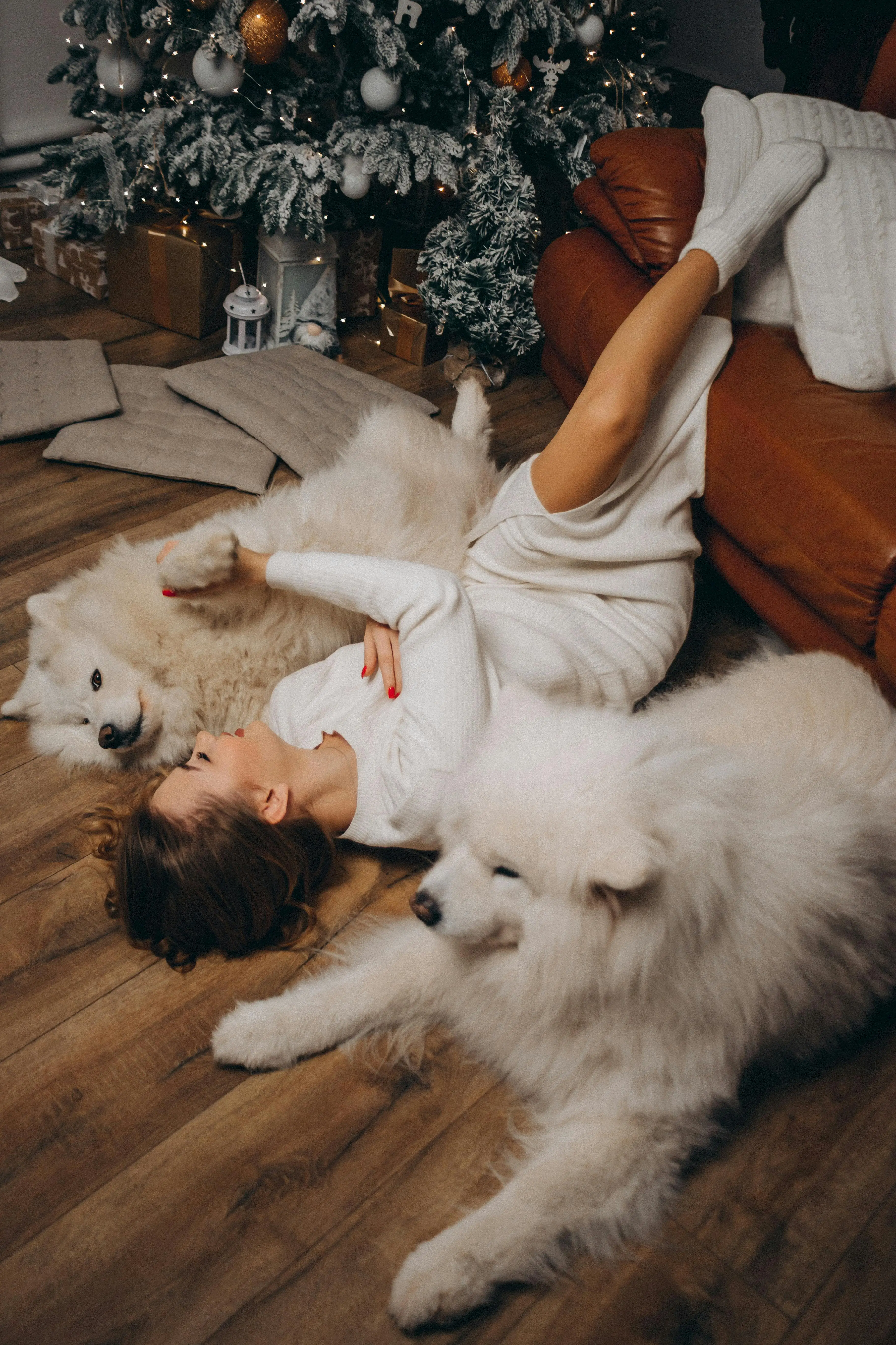 Revolutionizing Canine Care At-Home Lyme Disease Tests and the Future of Pet Health