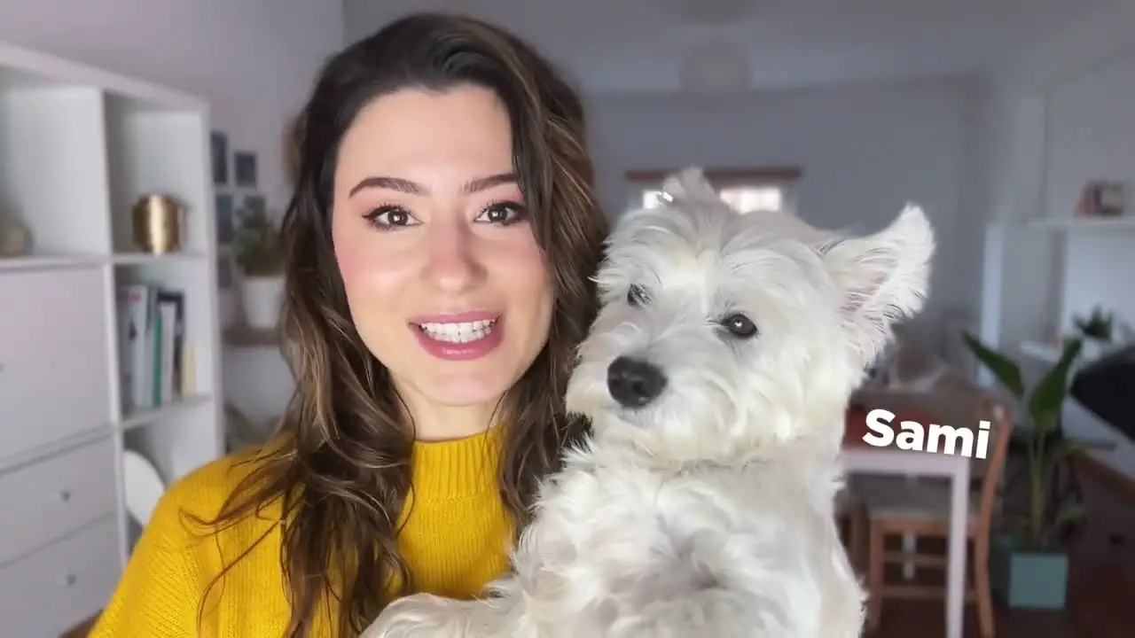 West Highland Terrier for Adoption UK