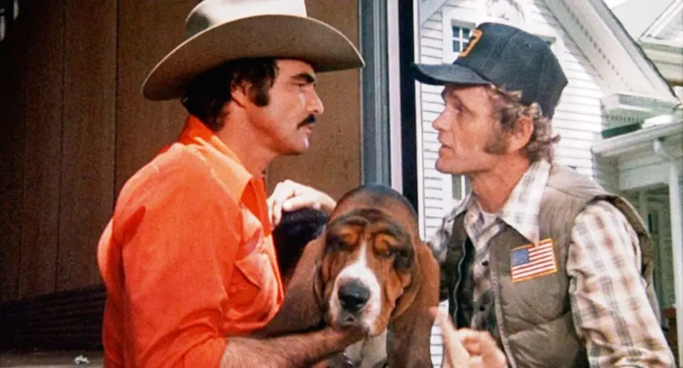 Fred the Basset Hound An Icon in Smokey and the Bandit