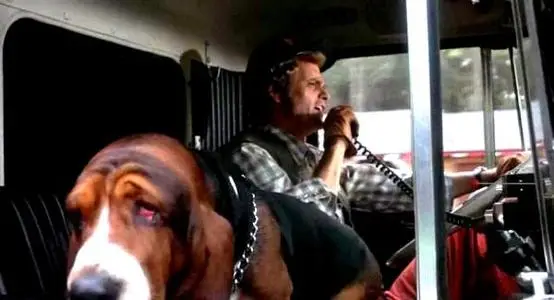 Fred the Basset Hound An Icon in Smokey and the Bandit