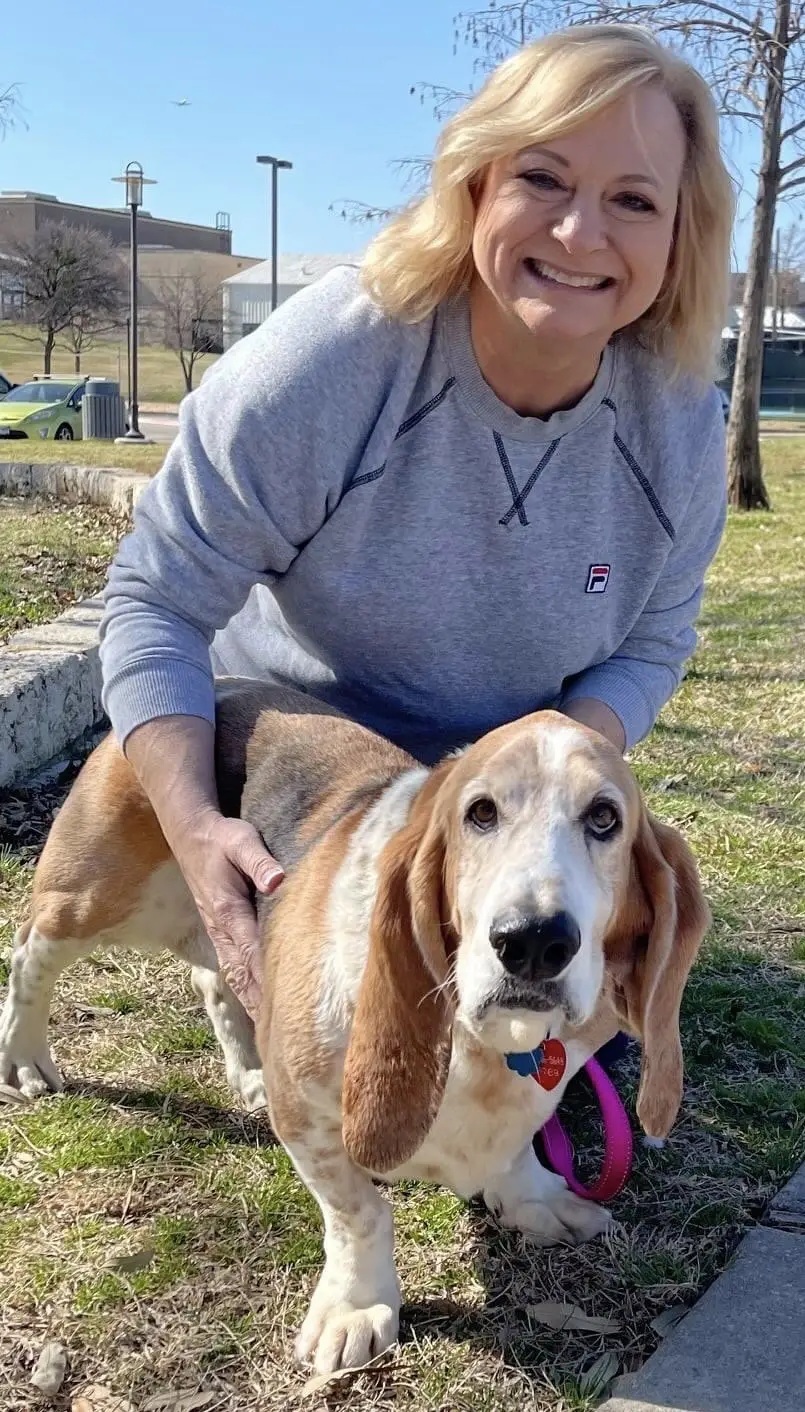Potty Training a Basset Hound Puppy