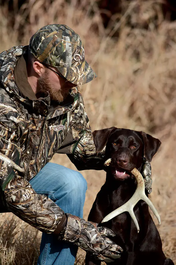 Good Hunting Dogs That Don