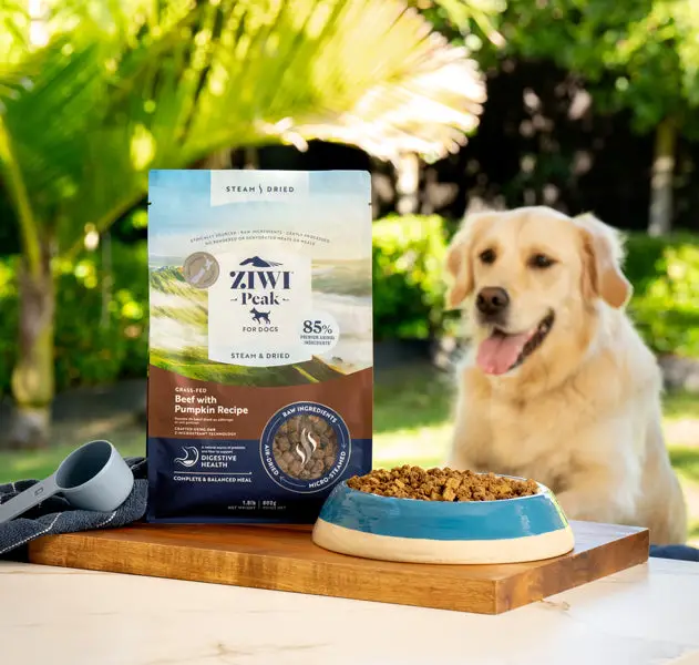 Unlocking a Healthier Future The Best Dog Food for Weight Loss and a Holistic Approach to Canine Wellness