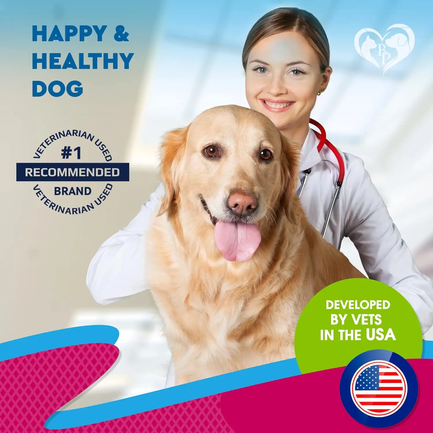 Symptoms of a Urinary Tract Infection in a Dog