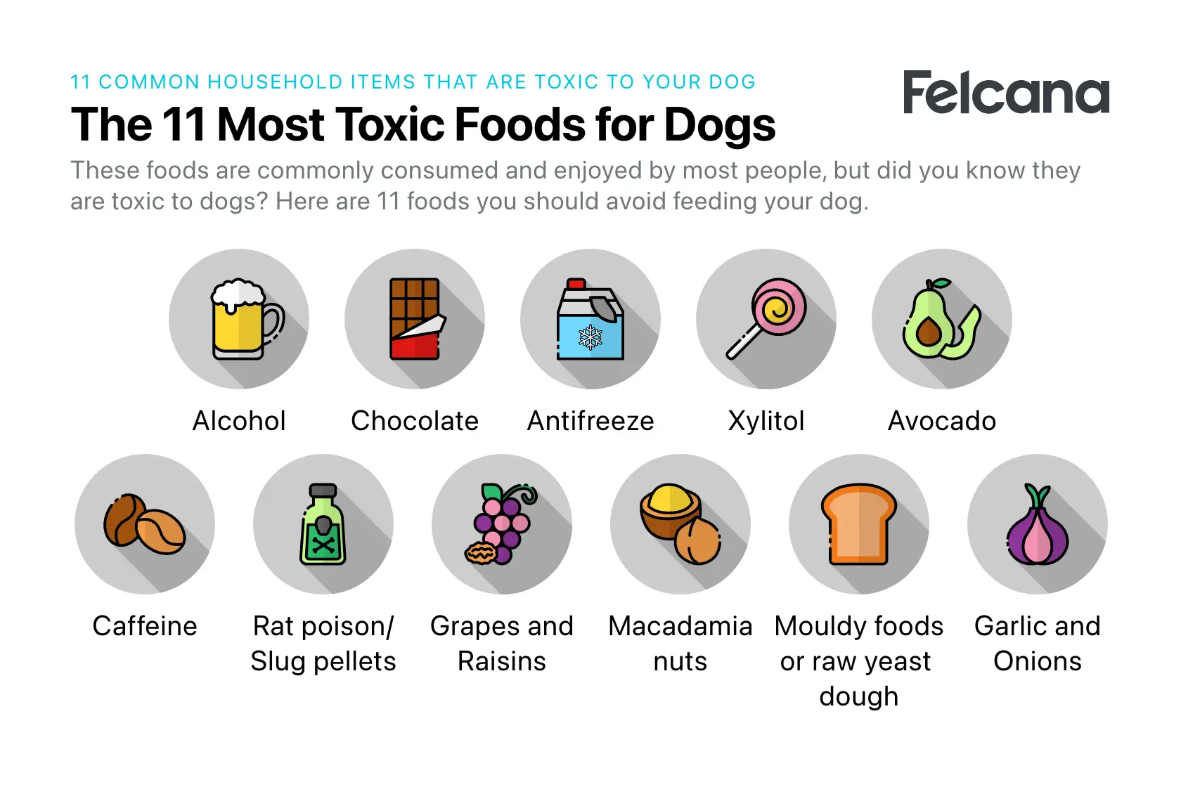 Household Toxins for Dogs