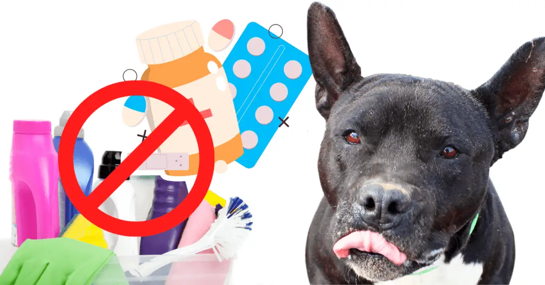 Understanding Dog Ingested Toxin Symptoms A Comprehensive Guide