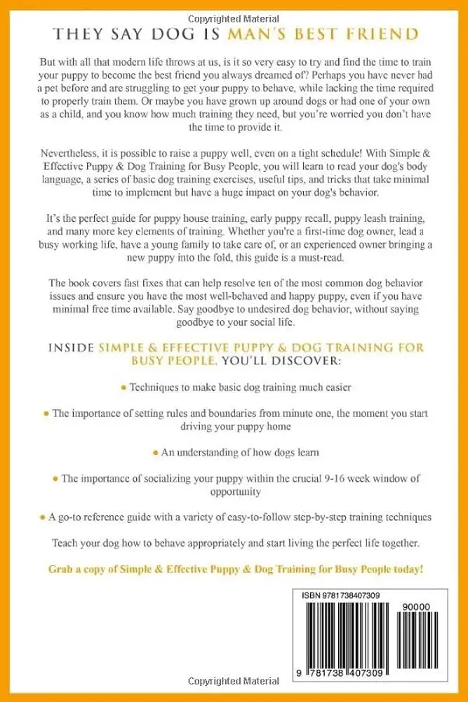 Basic Tricks to Teach Your Puppy