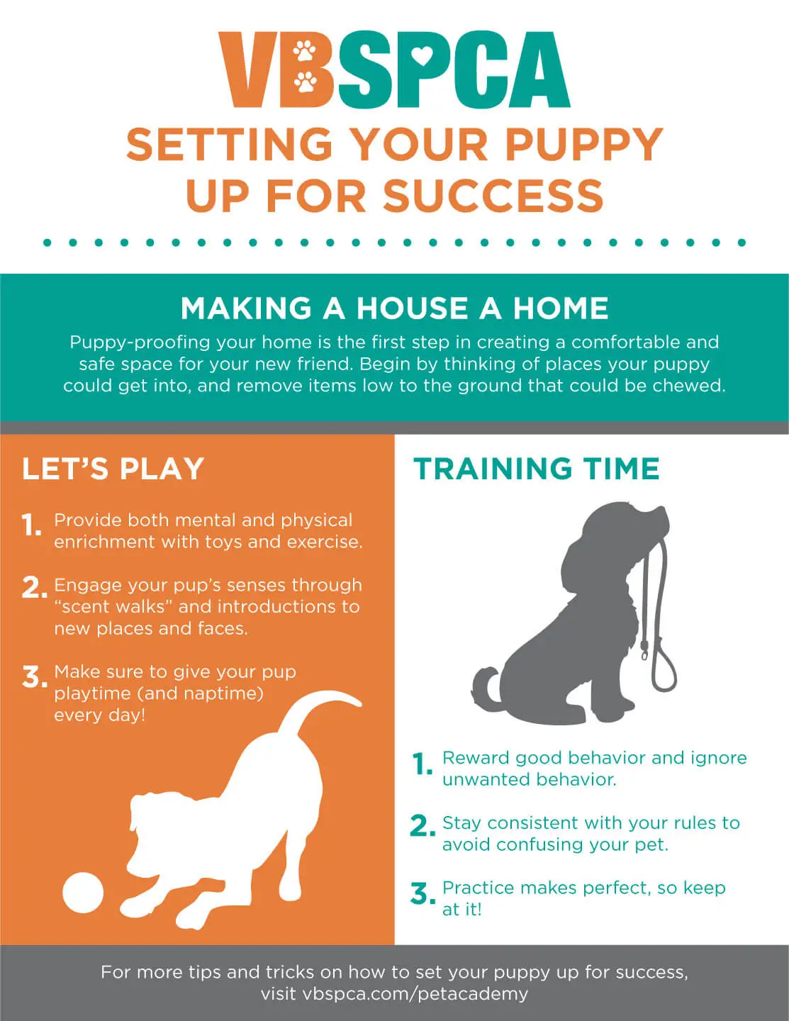 Basic Tricks to Teach Your Puppy
