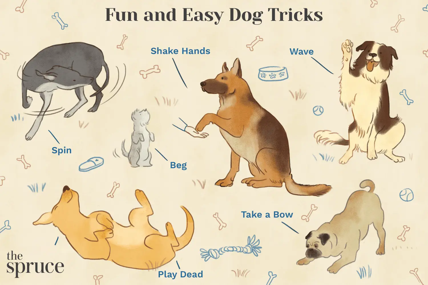 Basic Tricks to Teach Your Puppy